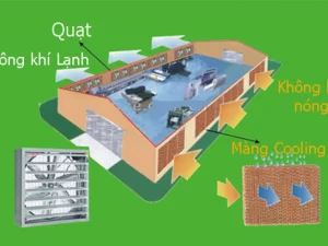 Hệ thống màng nước giảm nhiệt coolingpad